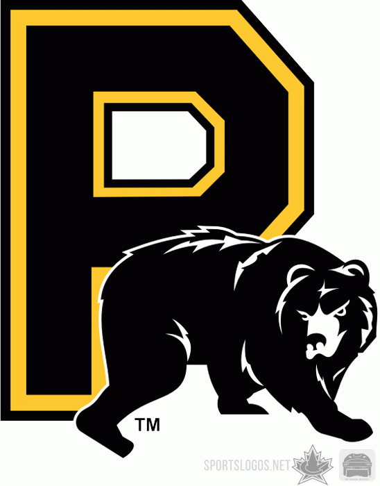 Providence Bruins 2008 09 Alternate Logo iron on transfers for clothing